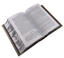 hhe797ey87or3ou5p513ifjvuzt1ho2b (1)